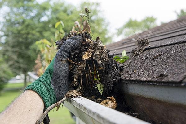 neglecting gutter cleaning can lead to clogged gutters, causing water damage to your home's foundation and roof